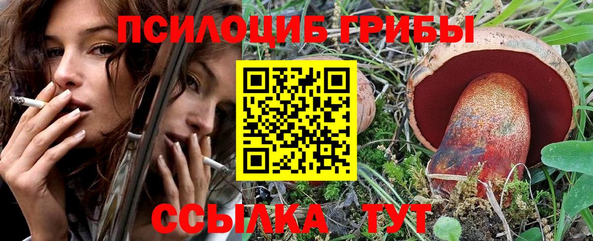 Псилоцибиновые грибы прущие грибы Урус-Мартан