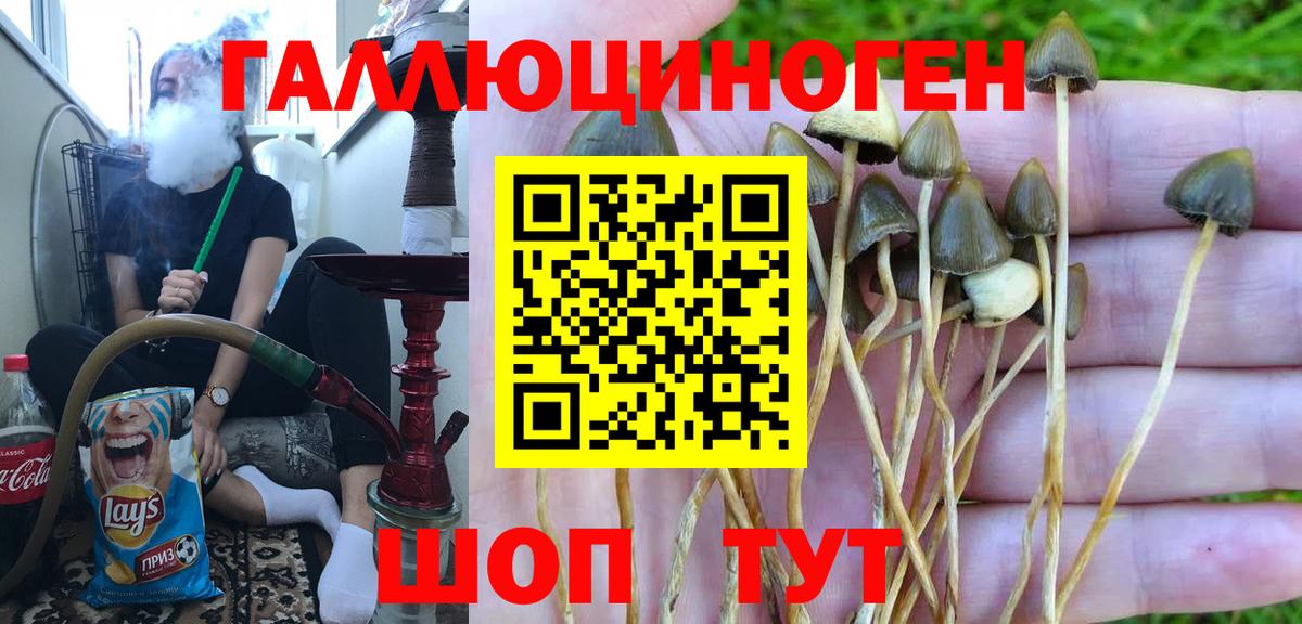 Псилоцибиновые грибы прущие грибы  Вход с VPN  где купить   Урус-Мартан 